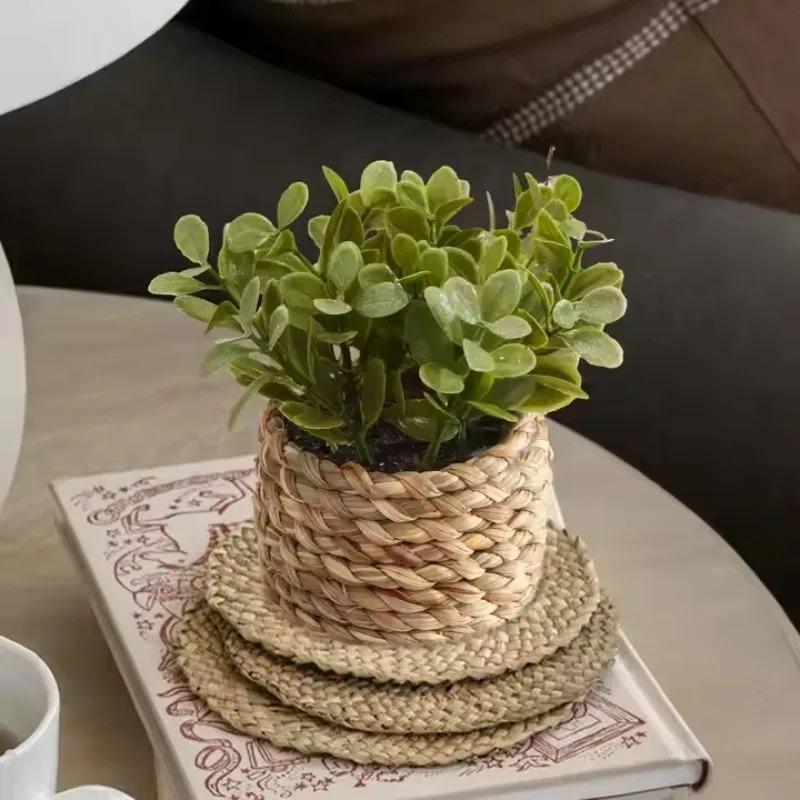 Badminton Live - 1Pc Potplant Kleine Nepplanten Indoor Home