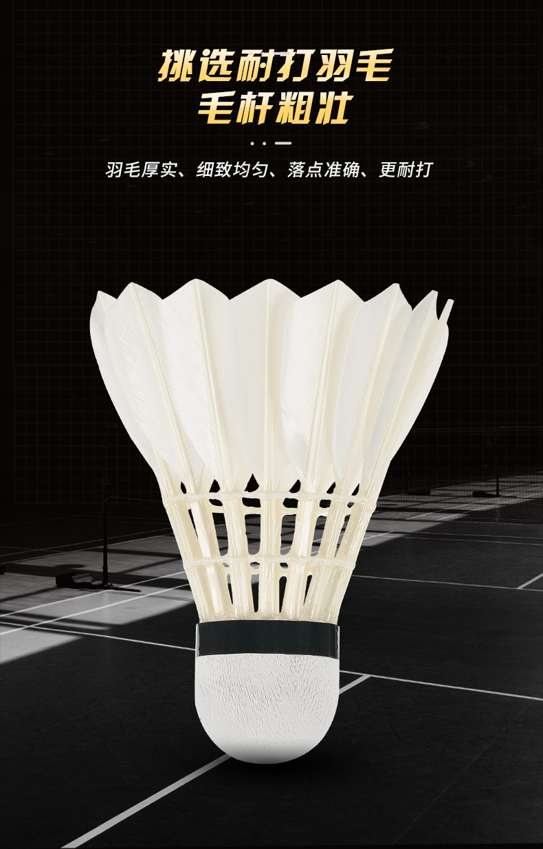 Nieuwe 12 Stuks Professionele  - Badminton Bwf recensie en prijs