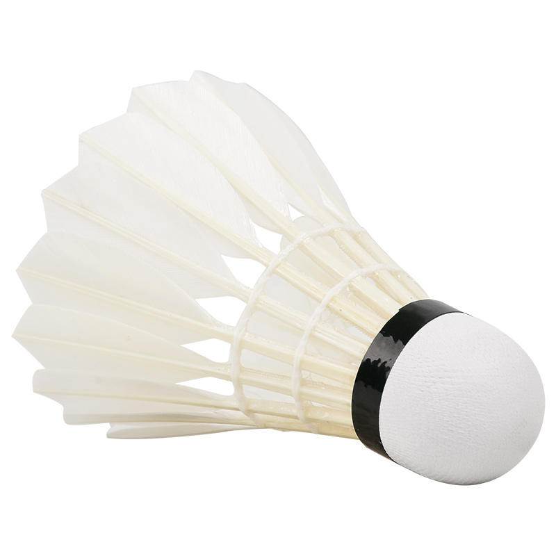 Nieuwe 12 Stuks Professionele  - Badminton Bwf recensie en prijs
