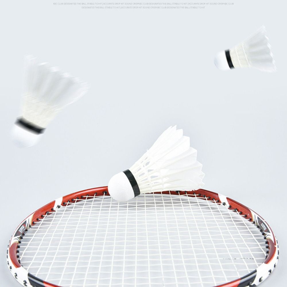 3/6/12 Stuks Nieuwe Witte Badm - Badminton Bwf recensie en prijs