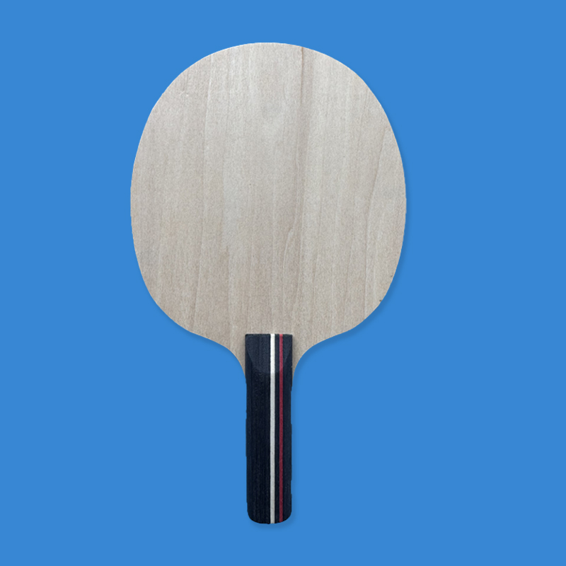 5-laags mini tafeltennisbat me - Badminton Background recensie en prijs