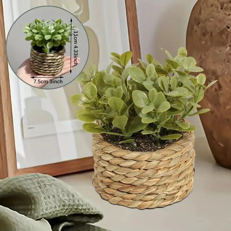1Pc Potplant Kleine Nepplanten - Badminton Live recensie en prijs