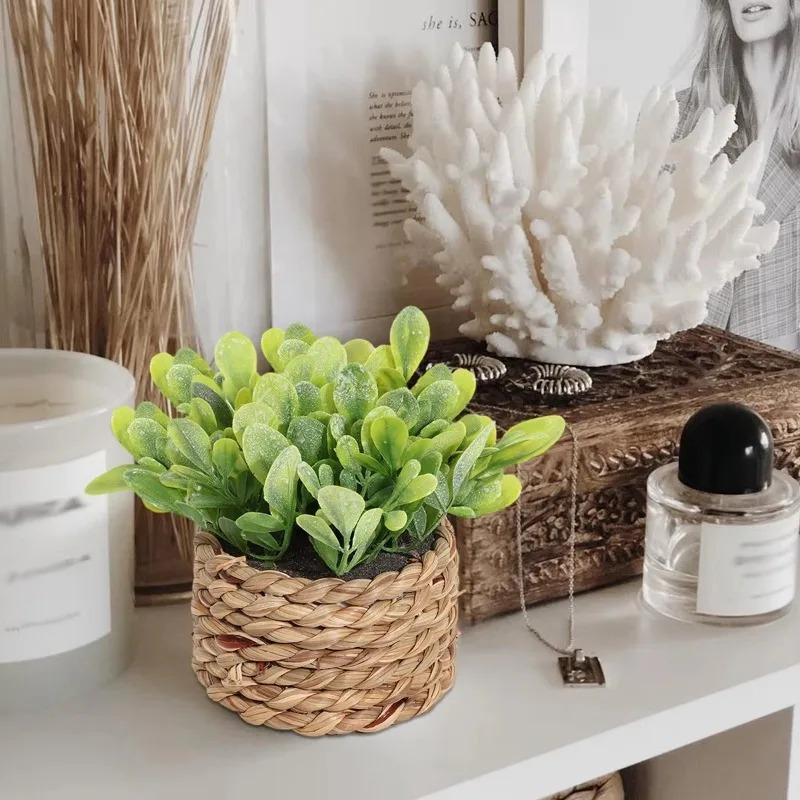 1Pc Potplant Kleine Nepplanten - Badminton Live recensie en prijs